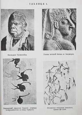 Лушан Ф. Народы, расы и языки / Пер. с нем. Б.Д. Левина; под ред. Д.А. Левина. Л., 1925.